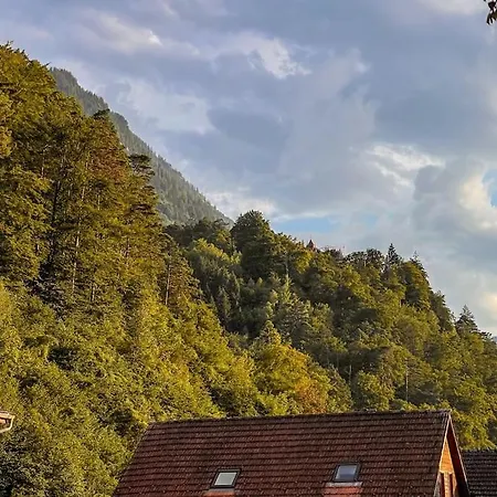 Apartman Center View