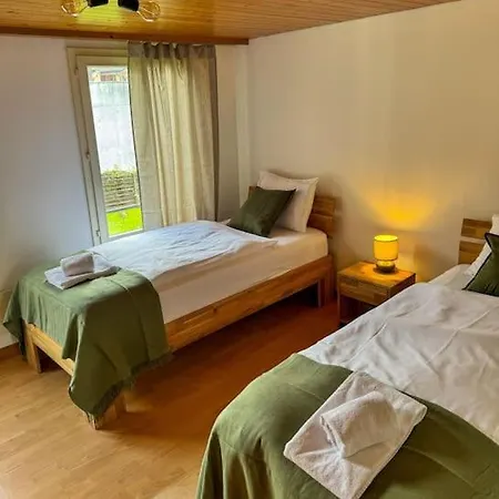 Center View إنترلاكن