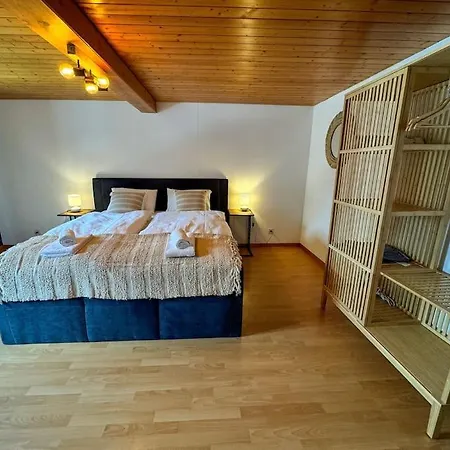 Center View 2 إنترلاكن