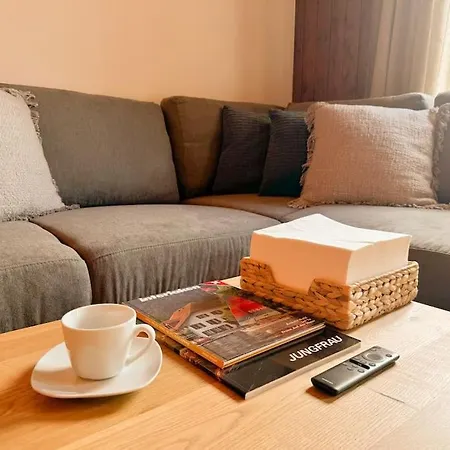 Center View 2 شقة إنترلاكن