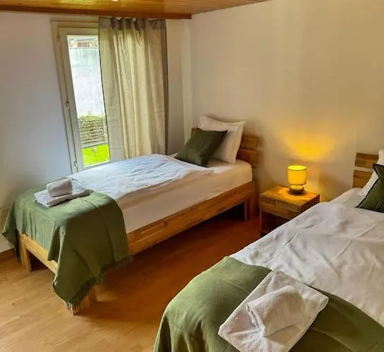 Center View 2 إنترلاكن